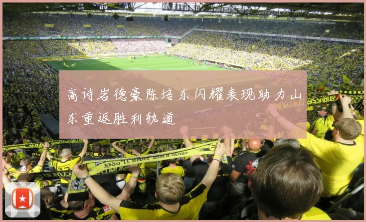 高诗岩德豪陈培东闪耀表现助力山东重返胜利轨道